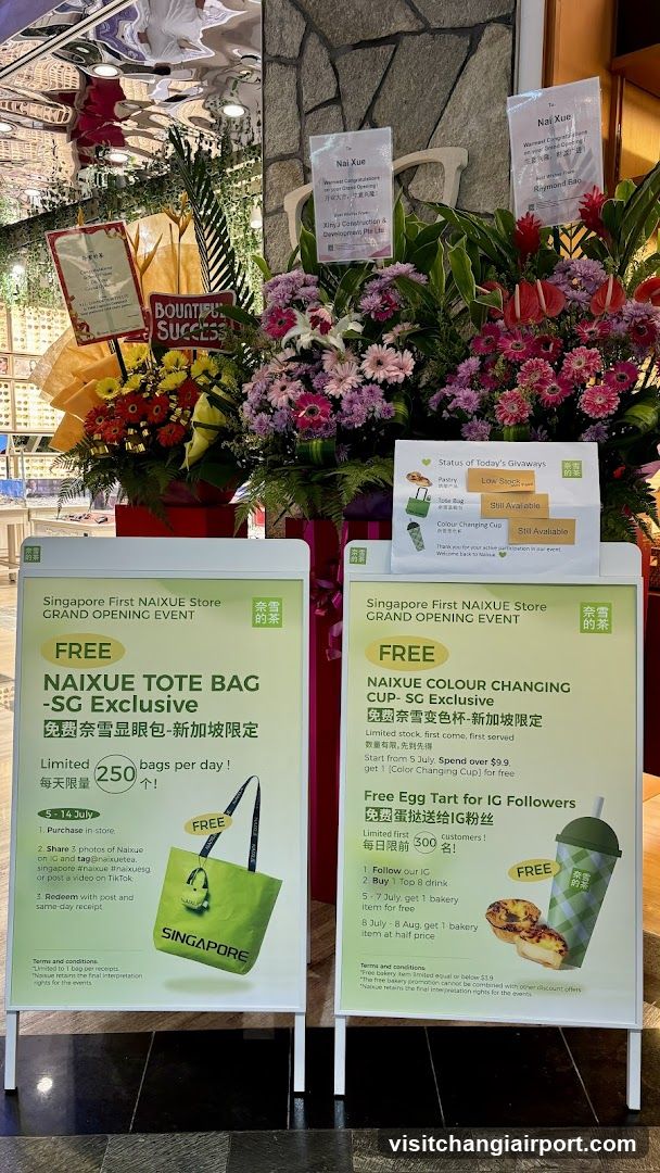 NAIXUE Store Grand Opening Event