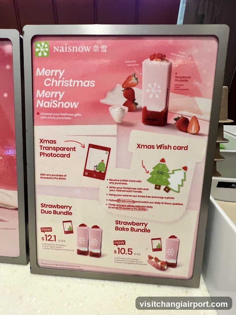 NaiSnow Christmas Promo Display