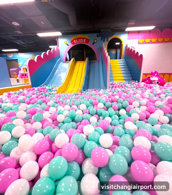 Indoor Ball Pit Play Area