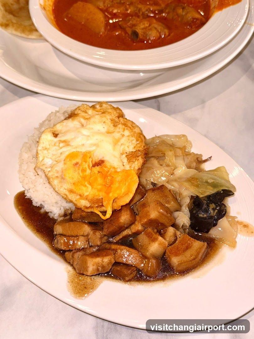 Food Plate with Fried Egg and Curry
