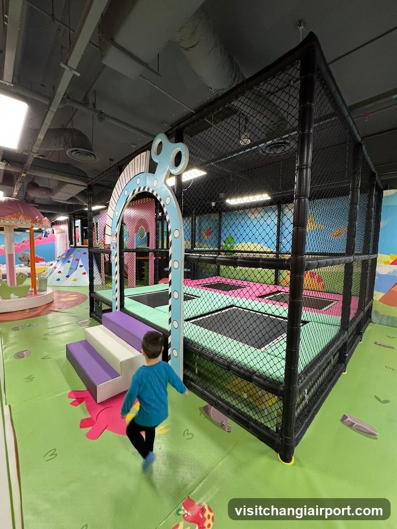 Indoor Play Area with Trampoline and Archway
