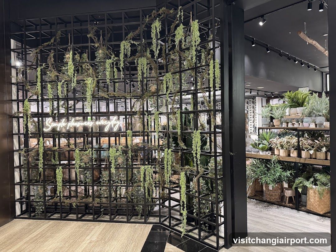 Interior Plant Display