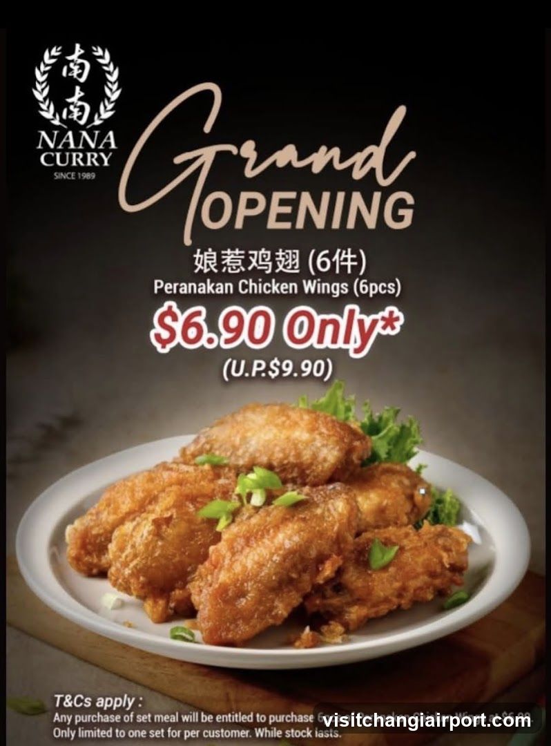 Nana Curry Grand Opening Ad
