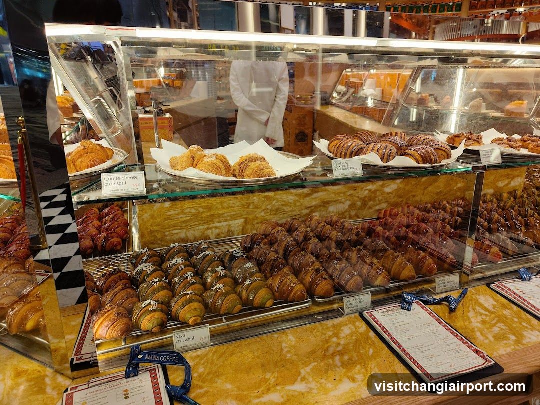 Pastry Display Case