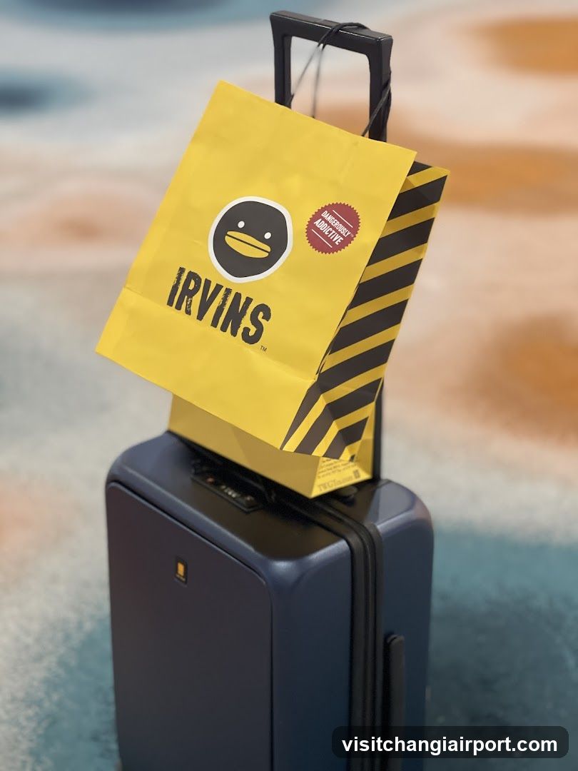 Irving's Shopping Bag on Suitcase