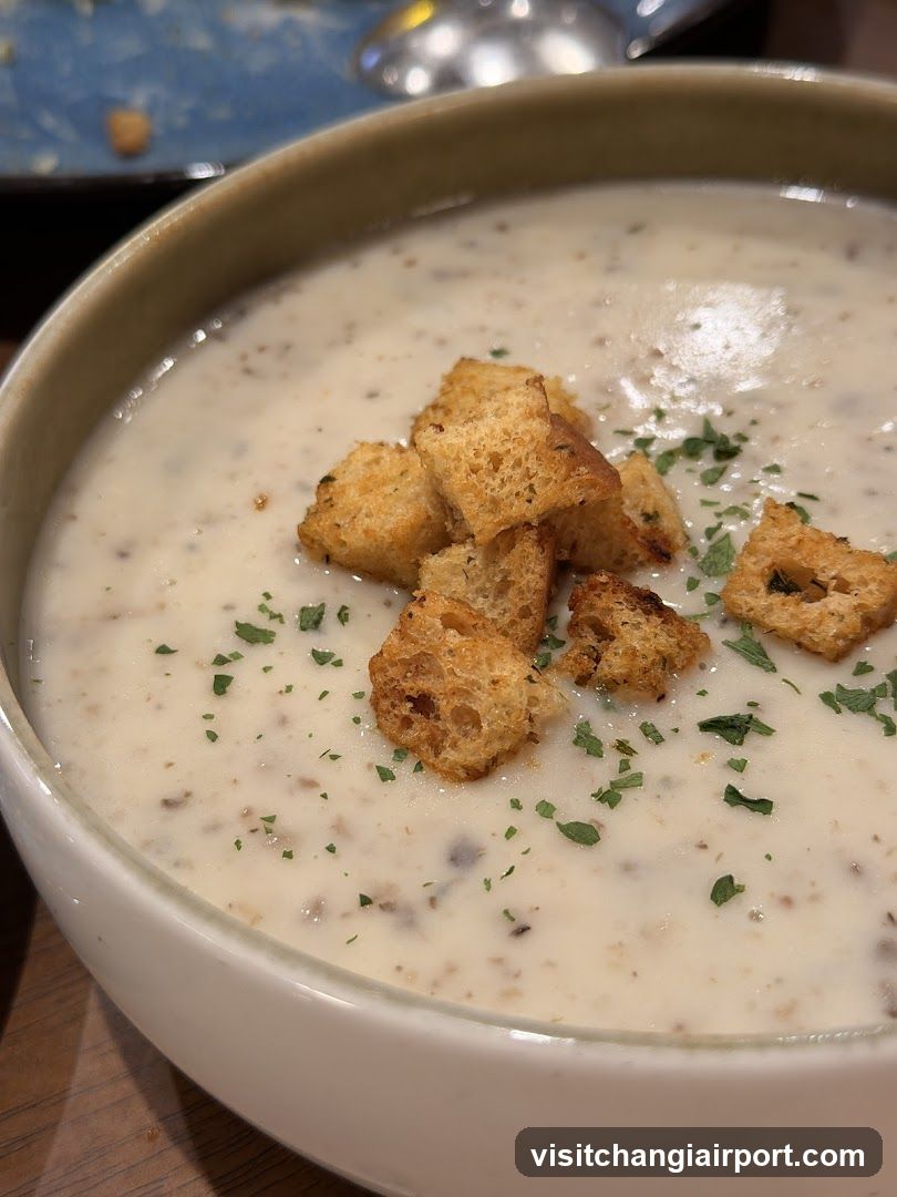 Creamy Soup with Croutons