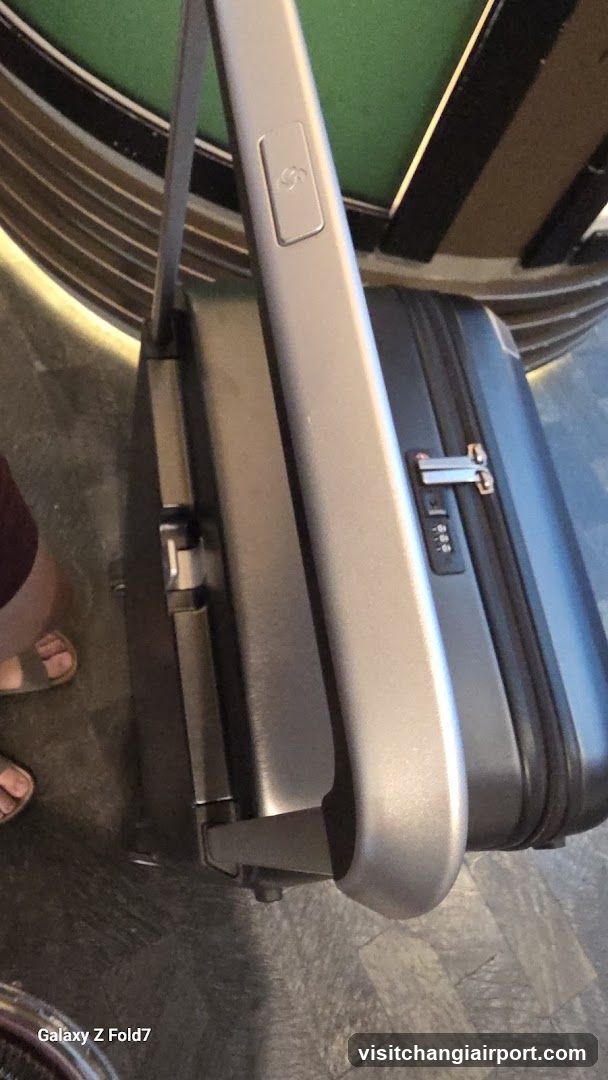 Suitcase with Handle