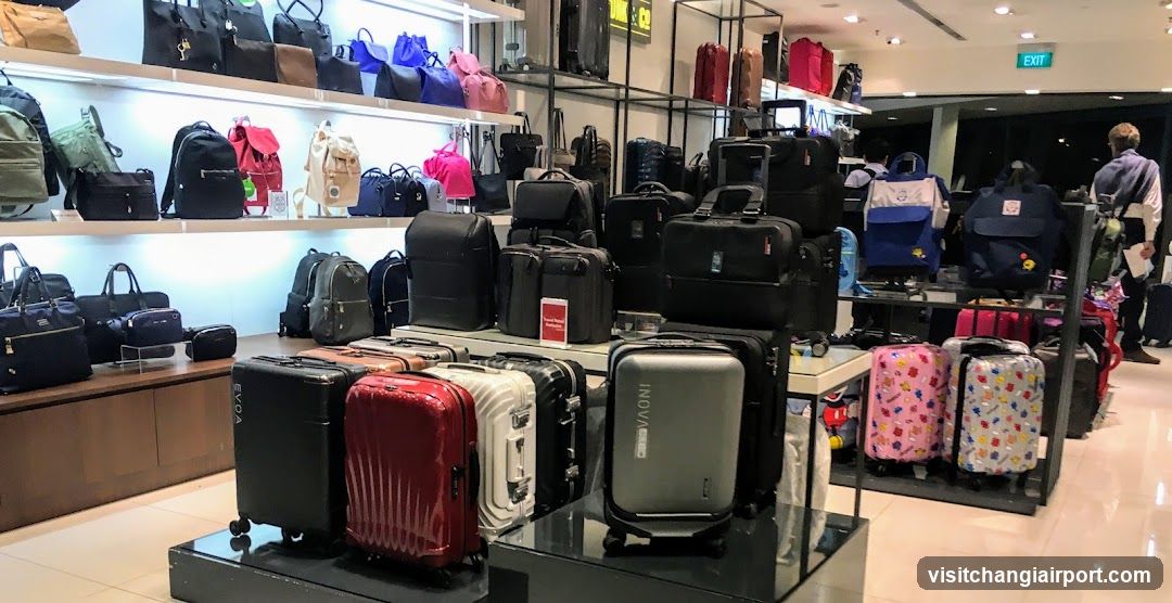 Luggage and Bag Store Interior