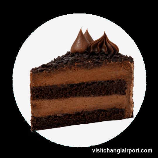Chocolate Cake Slice