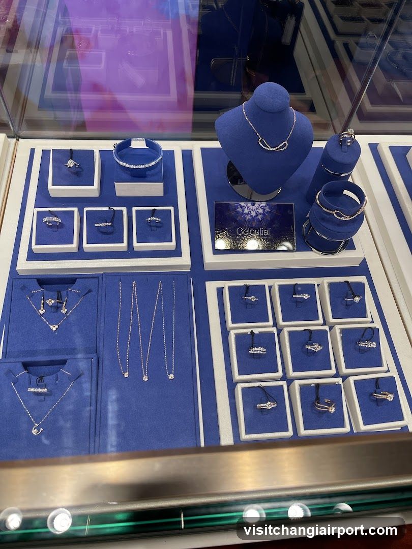 Jewelry Display Case