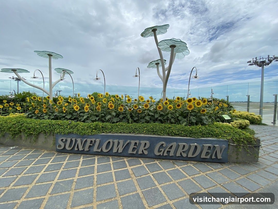 Sunflower Garden Signage