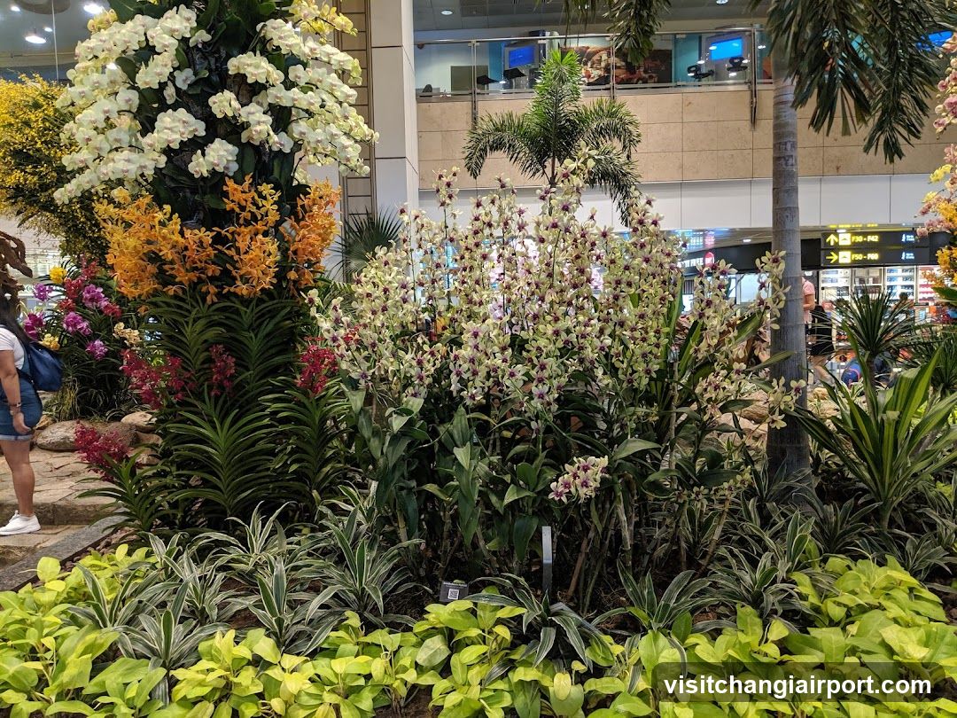 Indoor Flower Display