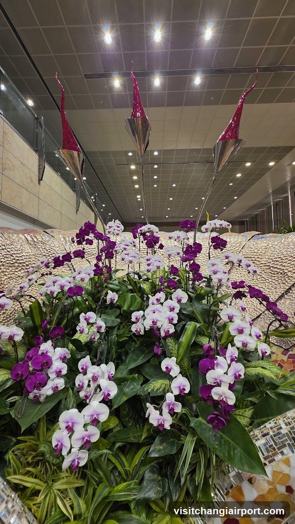 Orchid Display with Decorative Elements