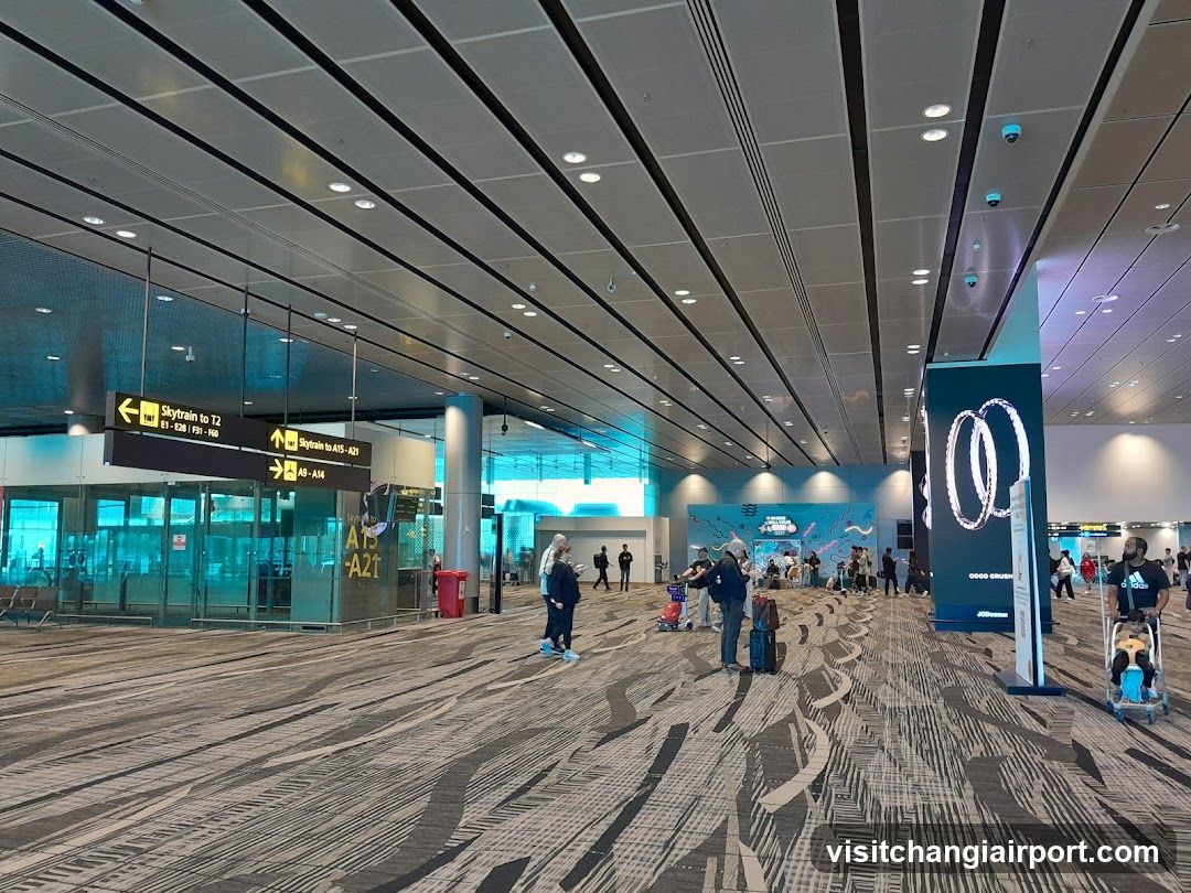 Airport Terminal Interior
