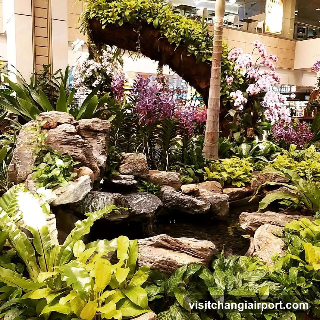 Indoor Garden Display
