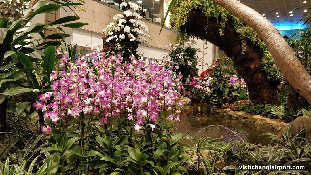 Indoor Garden with Orchids and Water Feature