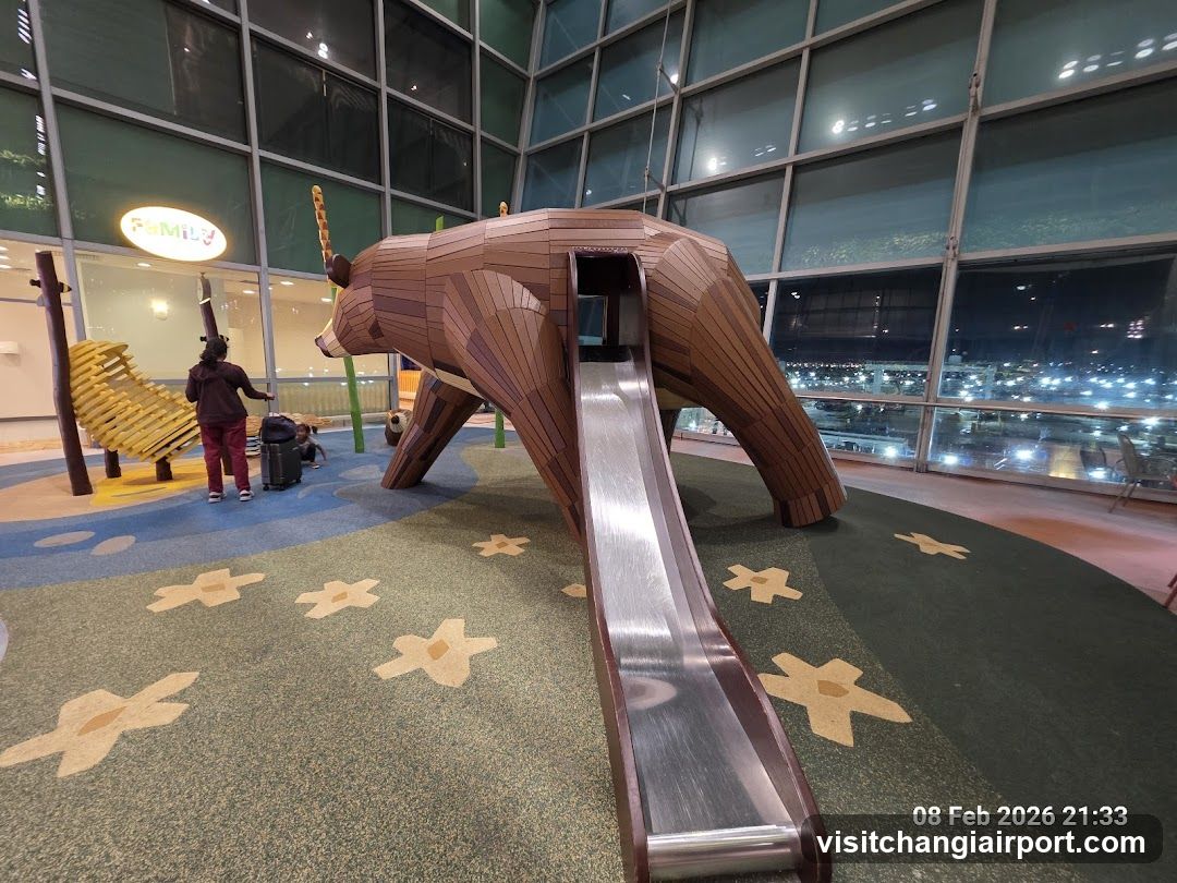 Play Area with Wooden Bear Slide