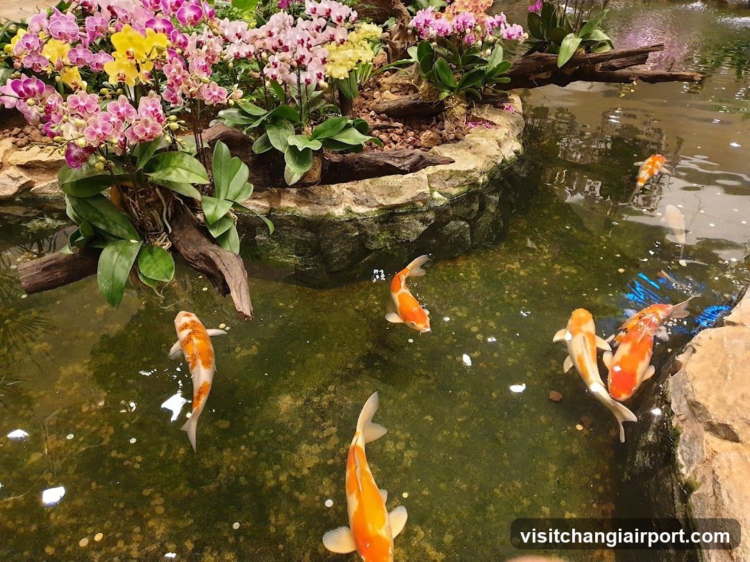 Koi Pond with Orchids