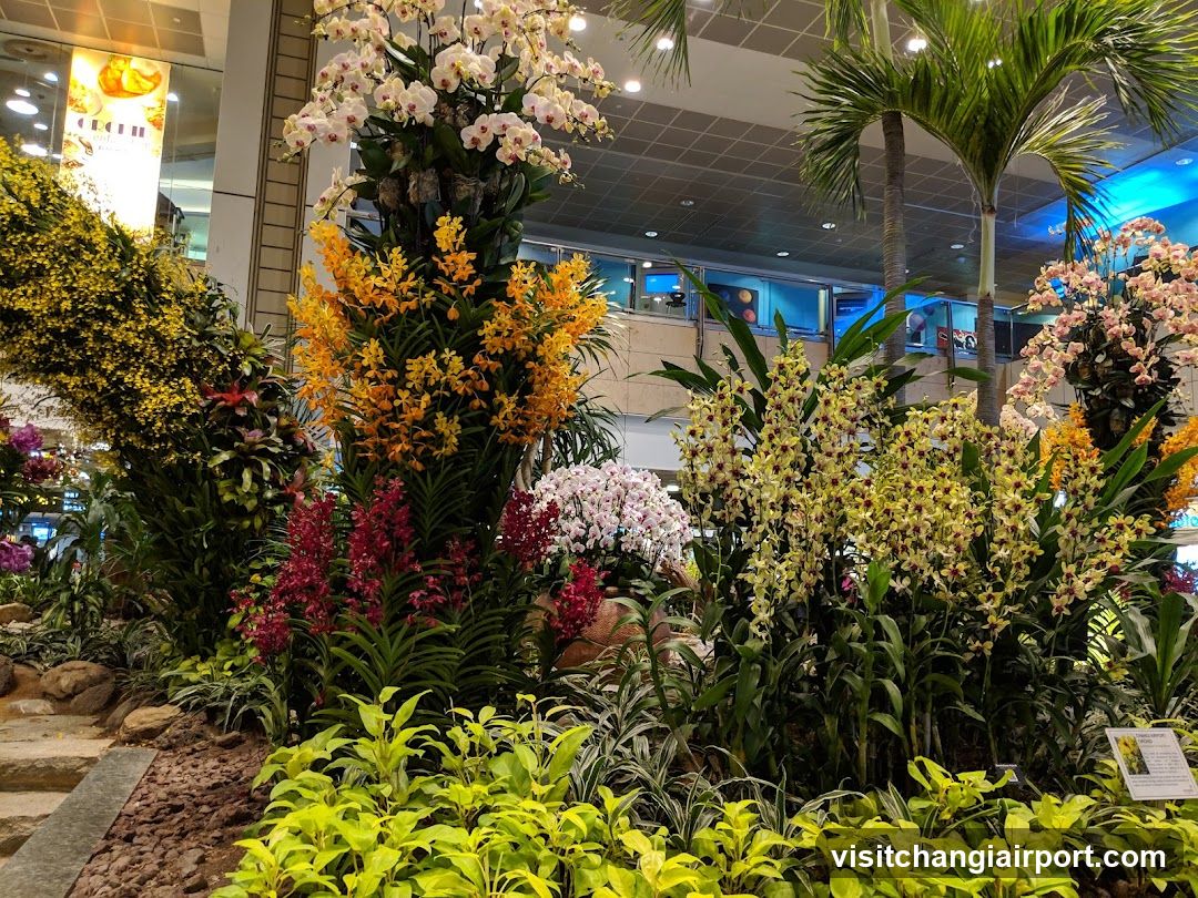 Flower Display in Indoor Mall