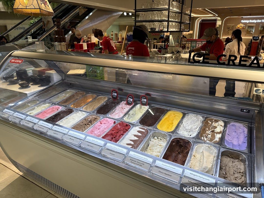 Ice Cream Display Case