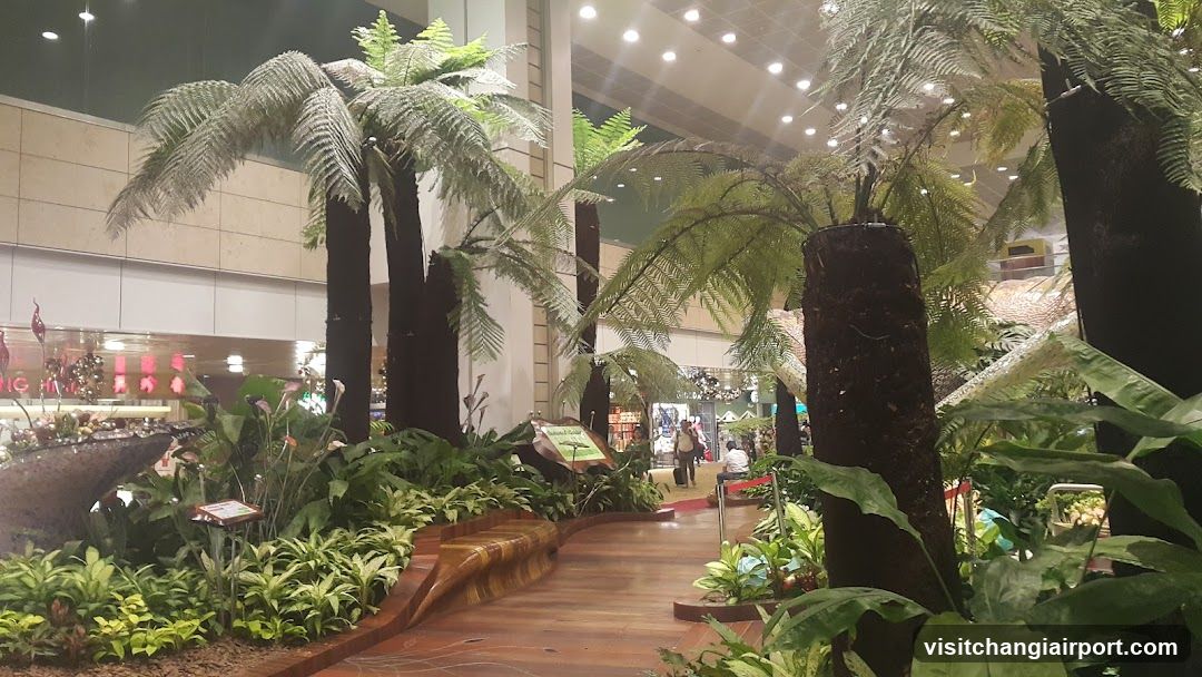 Indoor Garden Scene