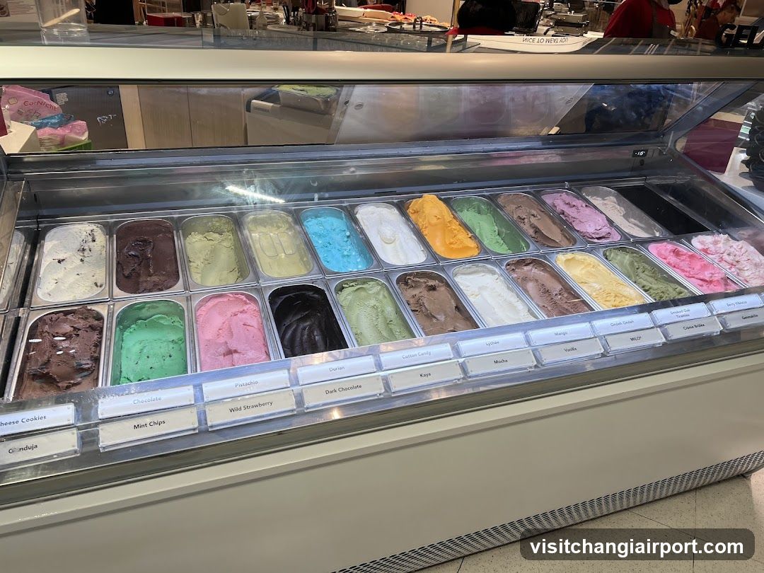 Ice Cream Display Case