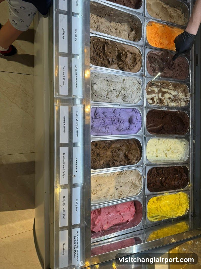Ice Cream Display Case