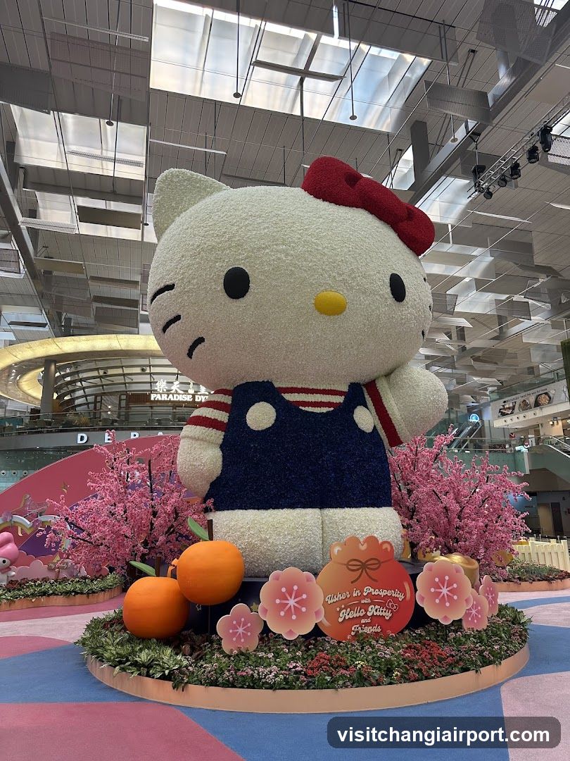 Hello Kitty Display