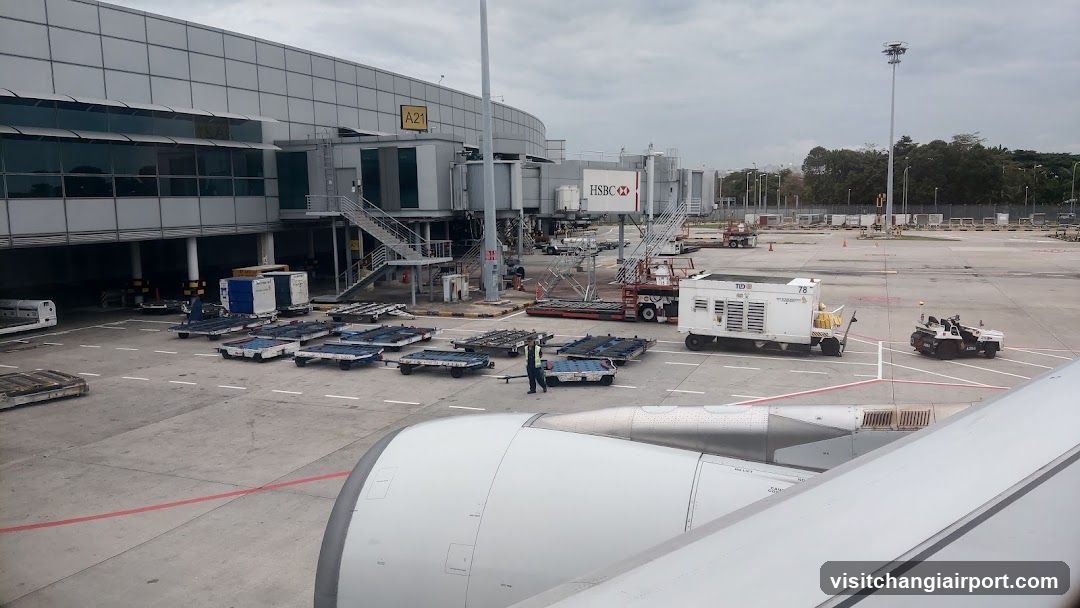 Airport Tarmac View from Aircraft Window