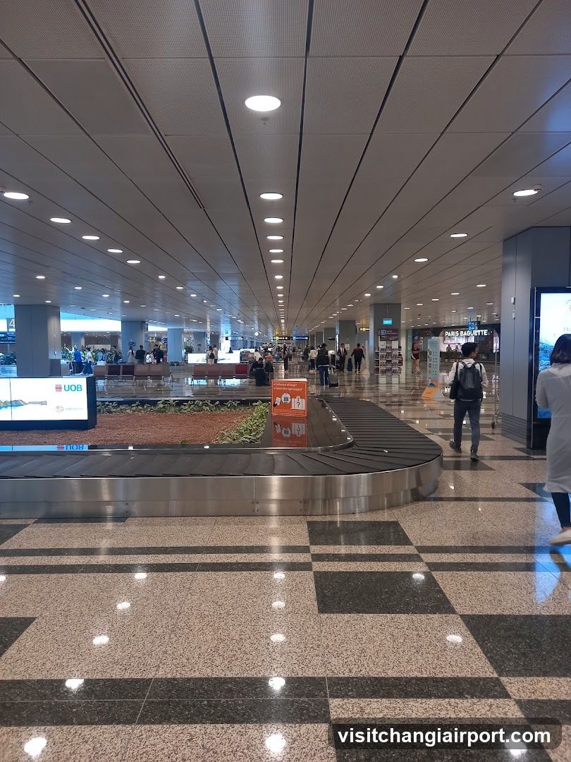Airport Baggage Claim Area