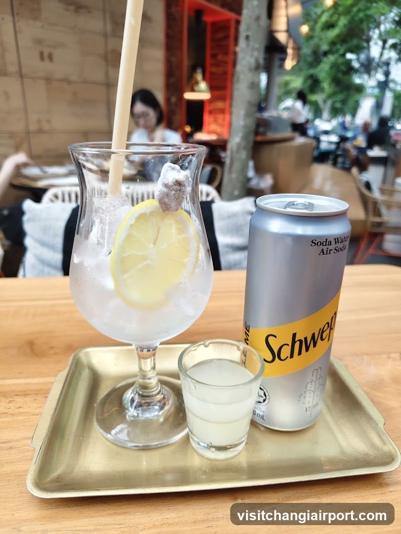 Soda Water Drink with Lemon