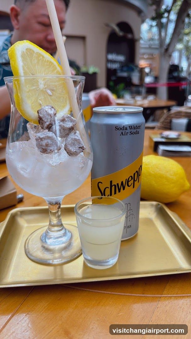 Schweppes Lemon Drink Setup