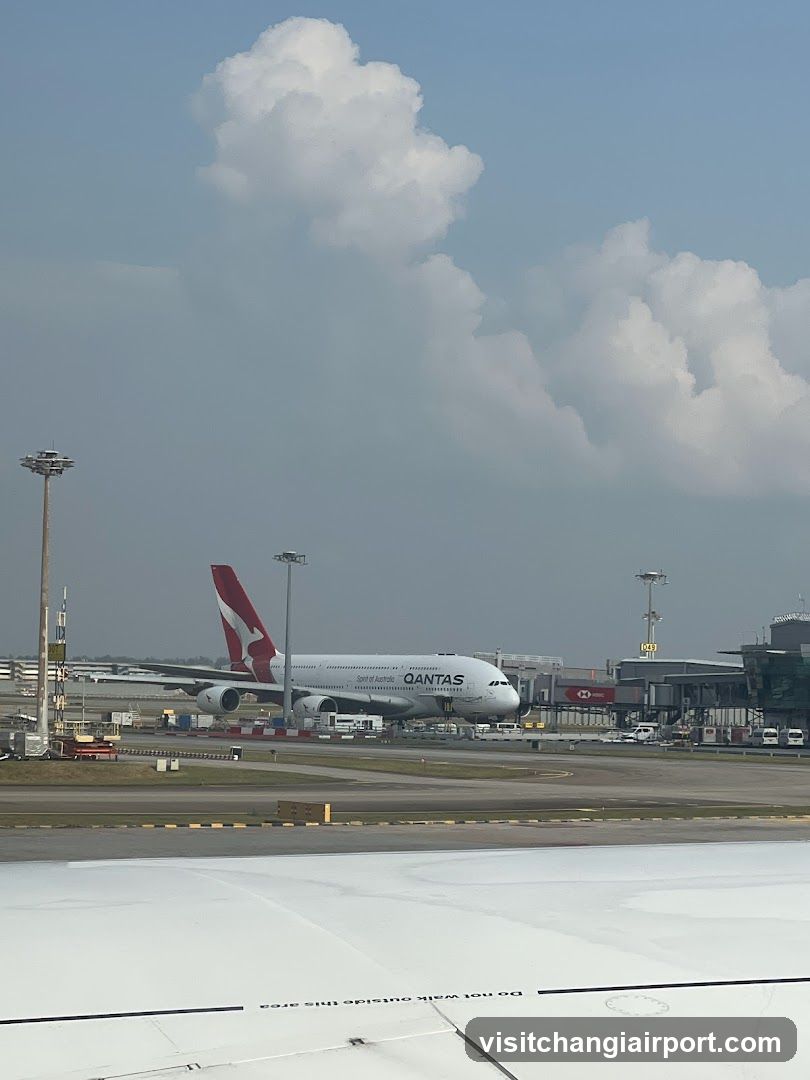 Bee Cheng Hiang (Changi Airport T1 Departure/Transit Lounge East)