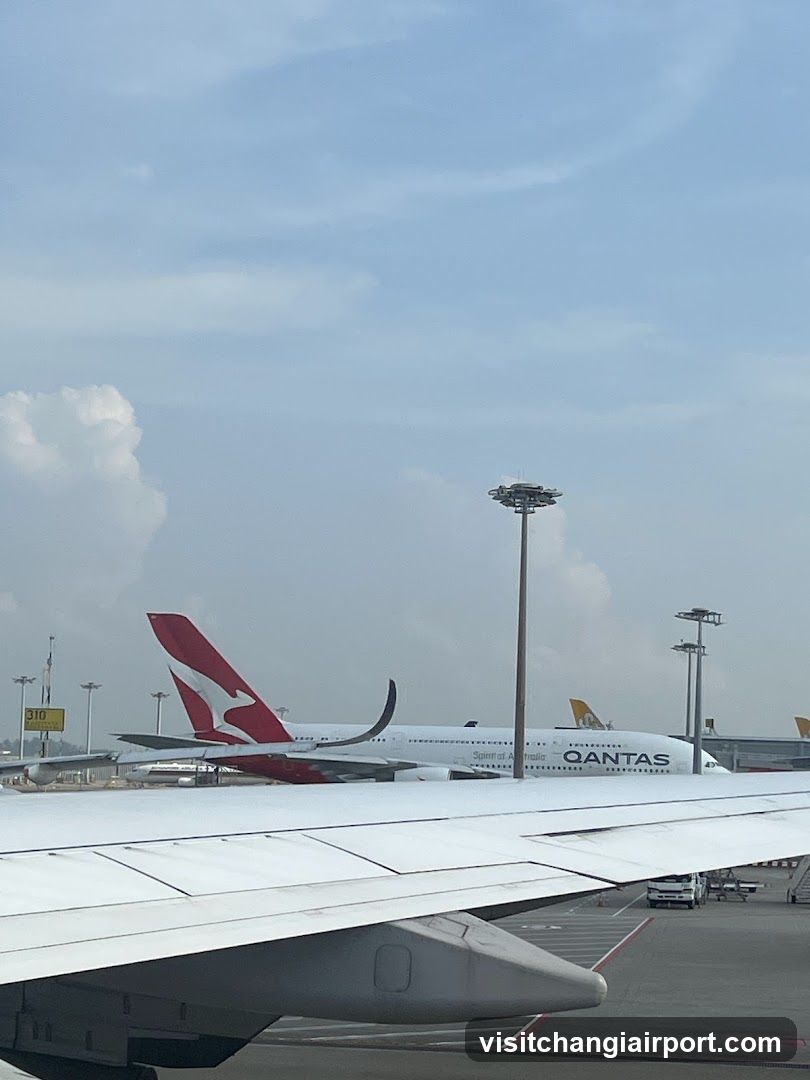 Airport Tarmac View