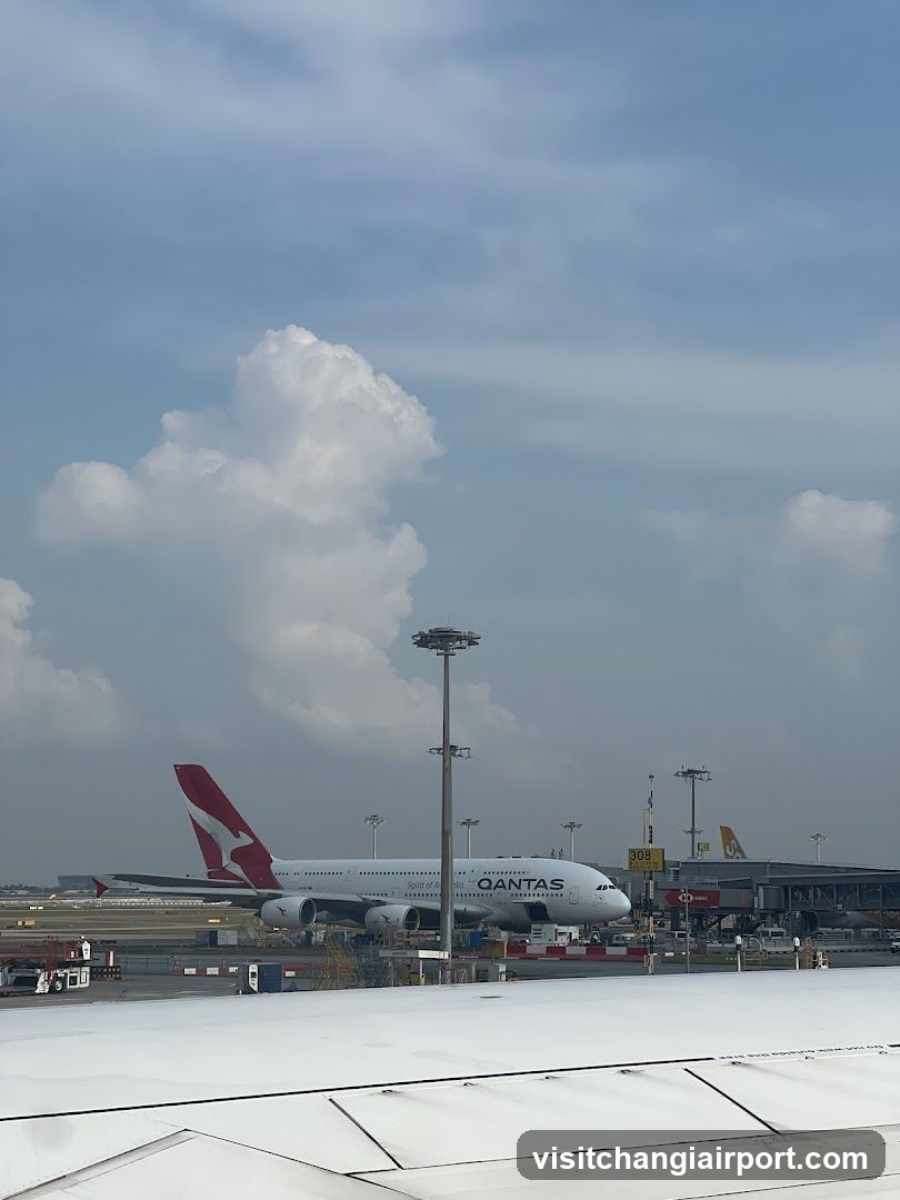 A Qantas airplane at an airport gate