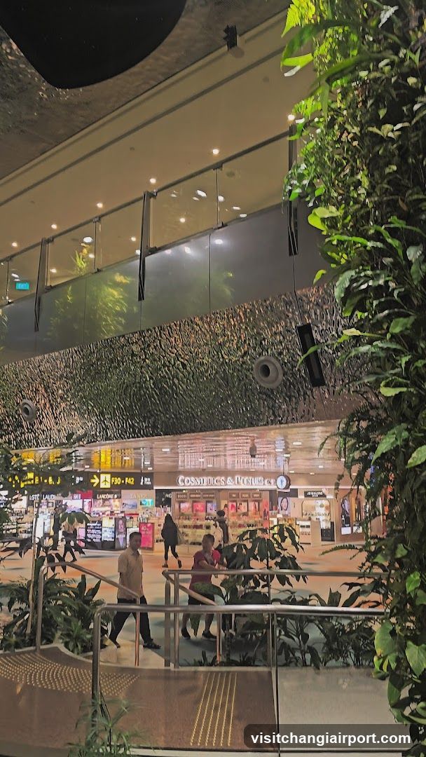 Airport Terminal Interior with Greenery