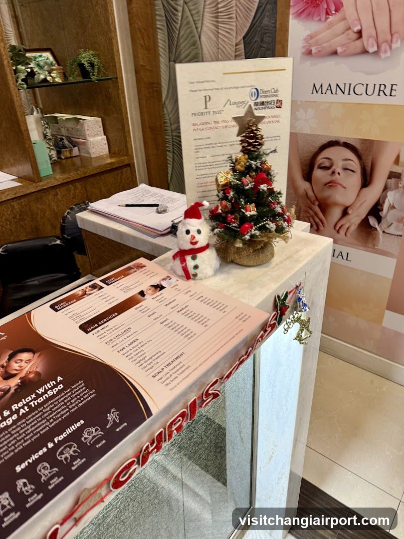 Beauty Salon Interior with Christmas Decorations