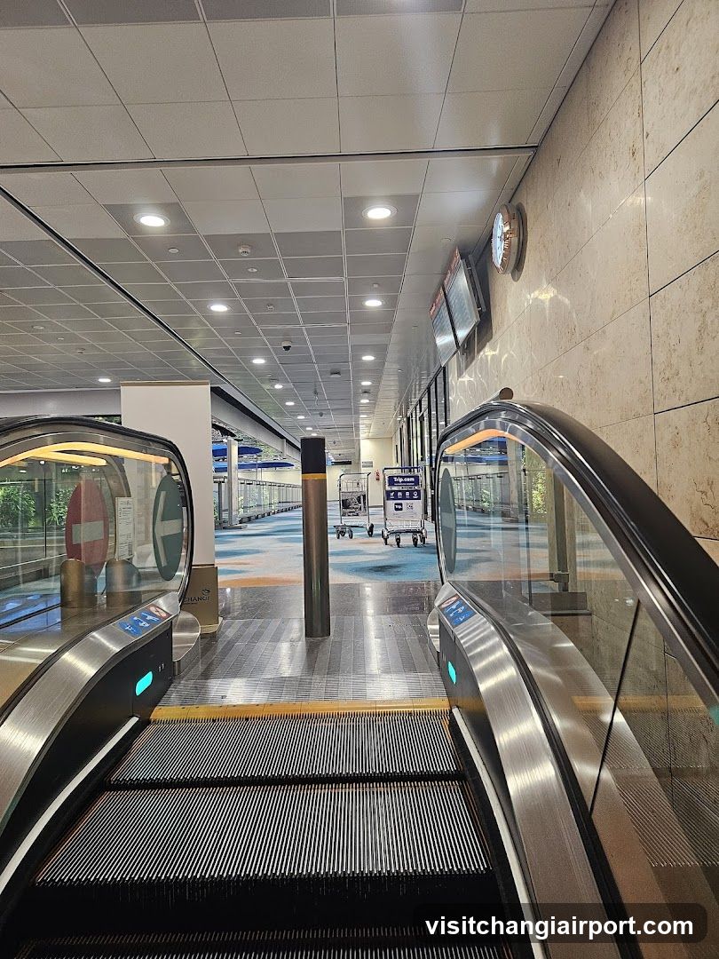 Airport Terminal Interior with Escalators
