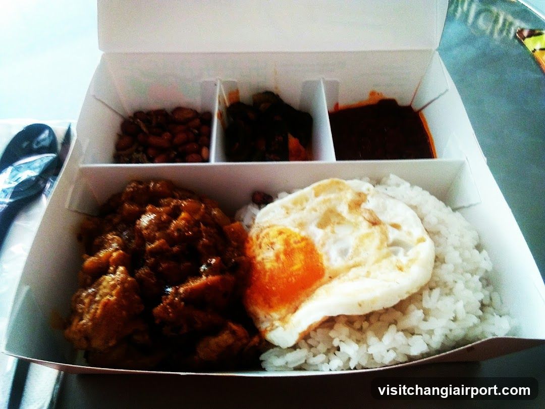 Nasi Lemak Box Meal