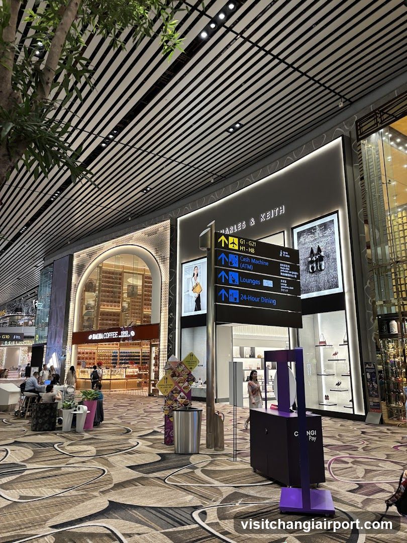 Airport Terminal Interior