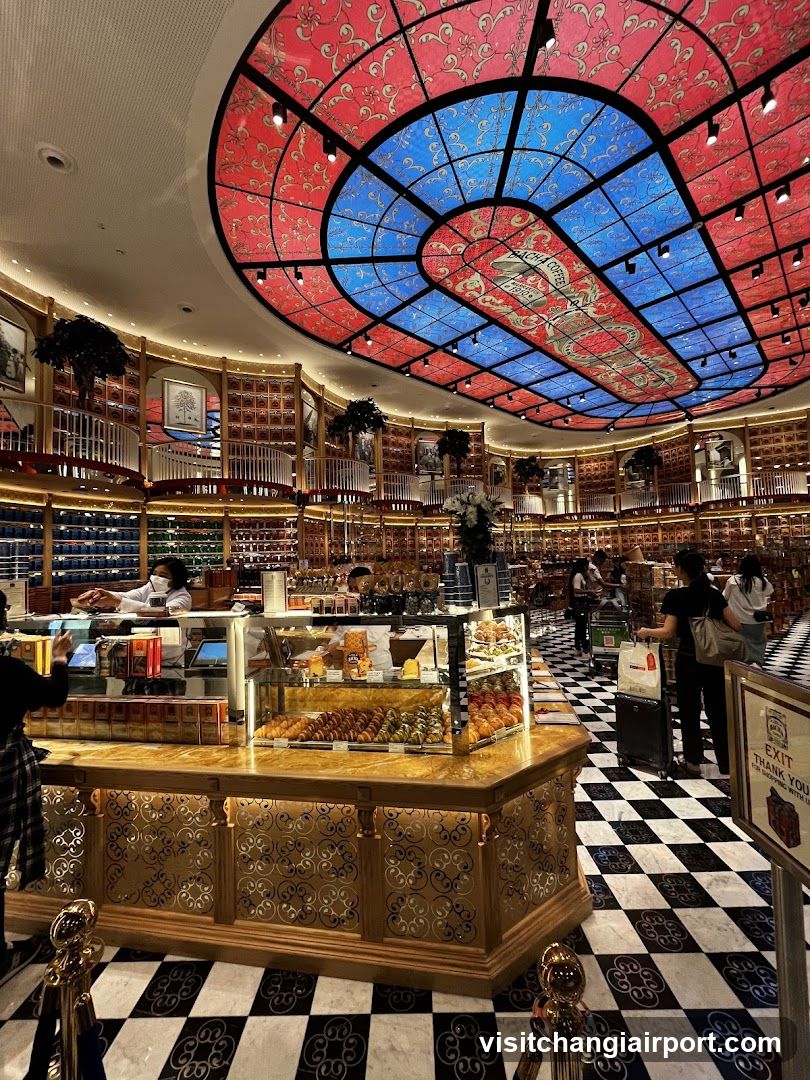 Interior of a Grand Bookstore with Stained Glass Ceiling