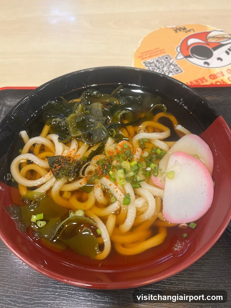 Udon Noodle Bowl with Toppings