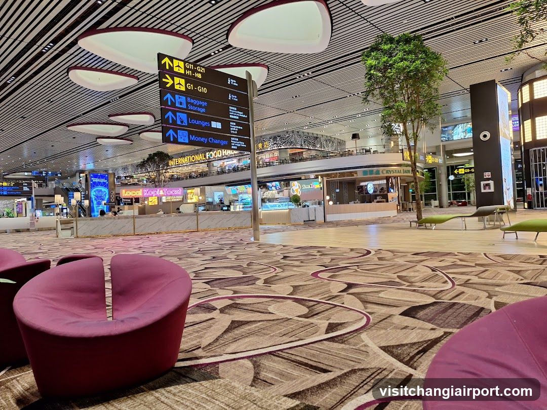 Airport Terminal Interior