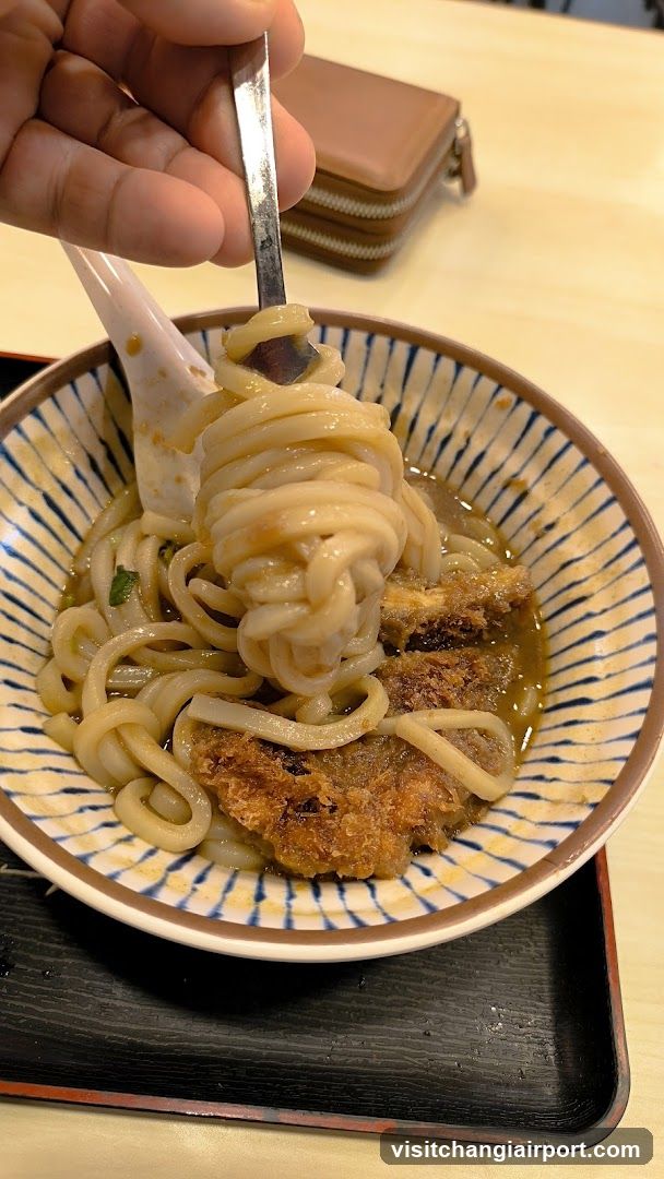 Udon Noodles with Katsu