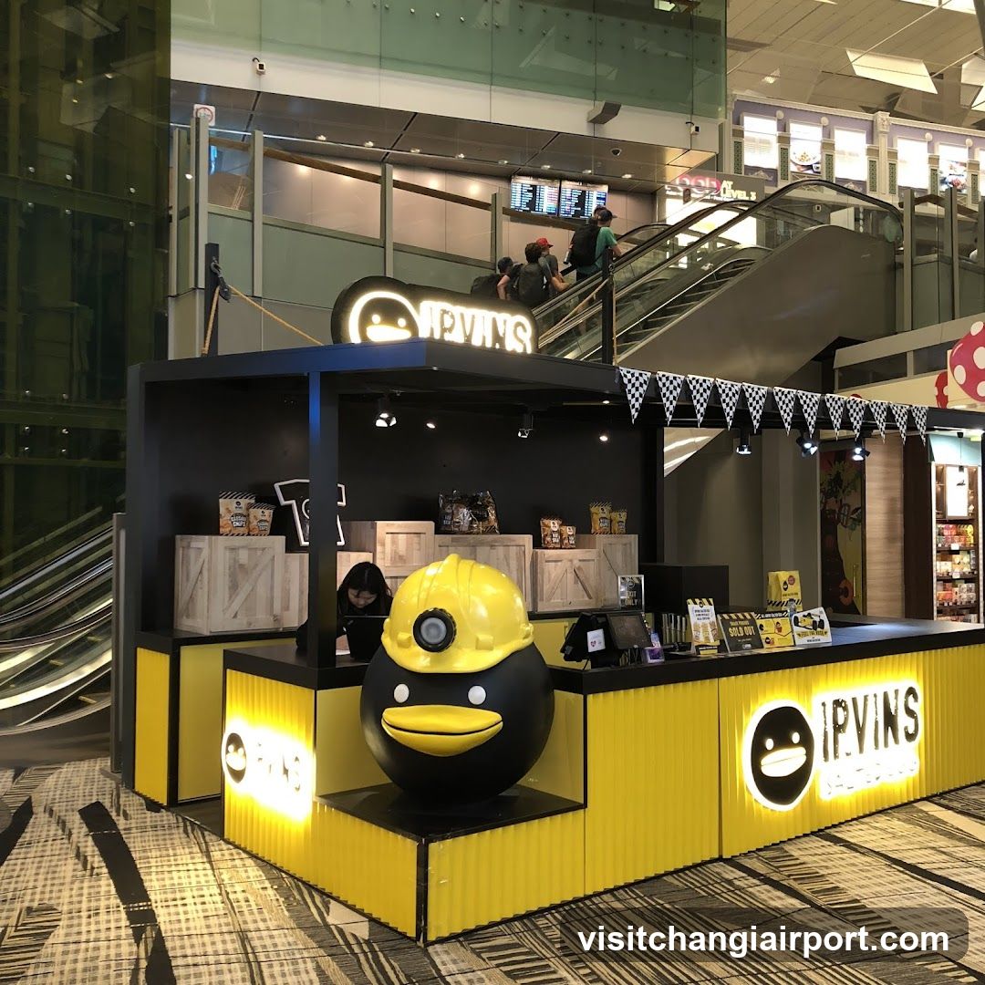 IPVINS Store Interior