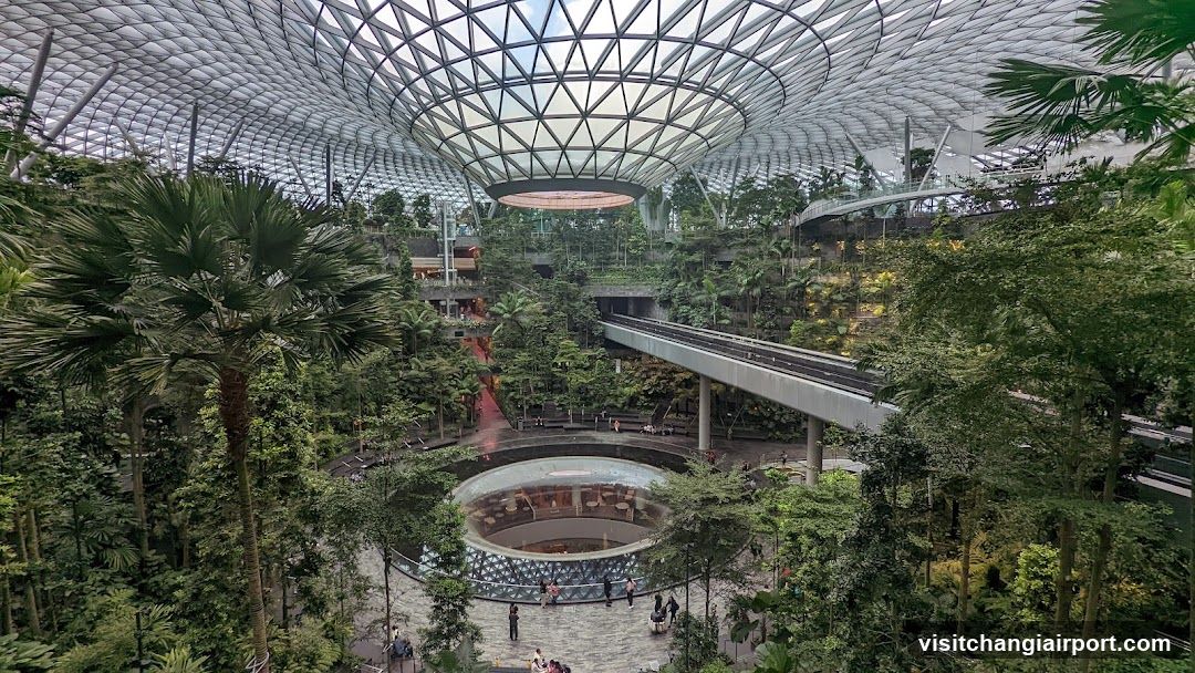 Indoor Garden Interior
