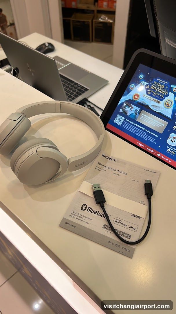 Sony Headset Display
