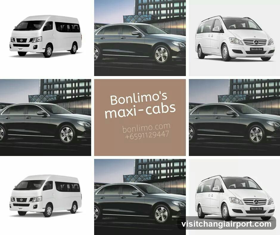 Bonlimo's maxi-cabs advertisement collage