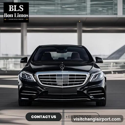 BLS Bon Limos Advertisement