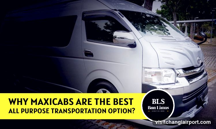 Why Maxicabs Are the Best All Purpose Transportation Option?